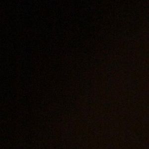 Meet your Posher, Savannah